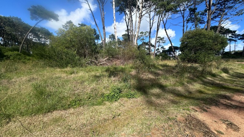 Lote en venta en La Reserva de Montoya